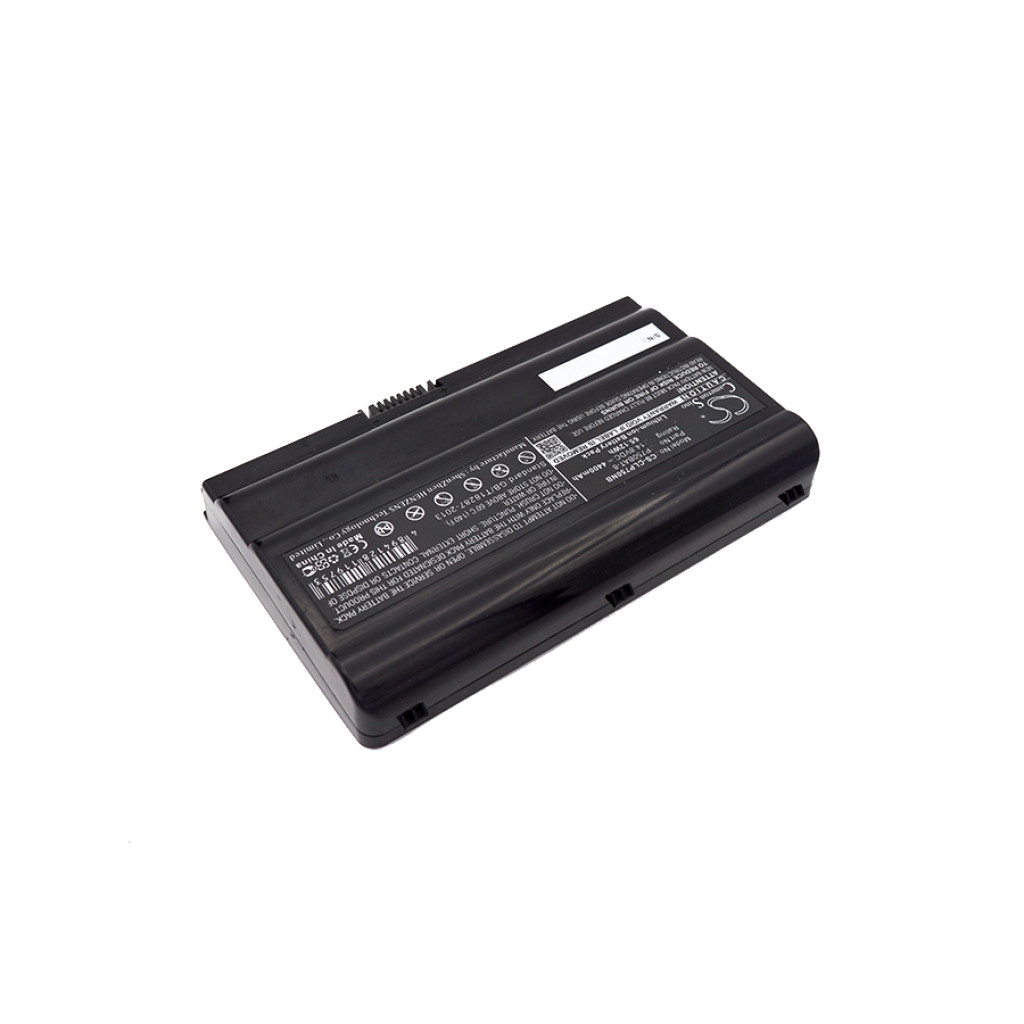 Eurocom P5