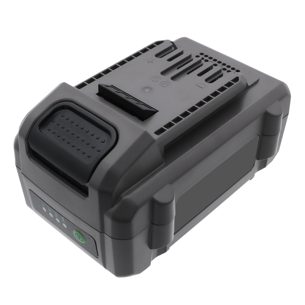 Battery industrial Flex CS-FEX214PW