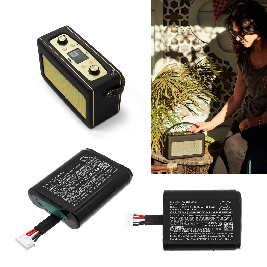 DAB Digital Battery Roberts Revival Icon