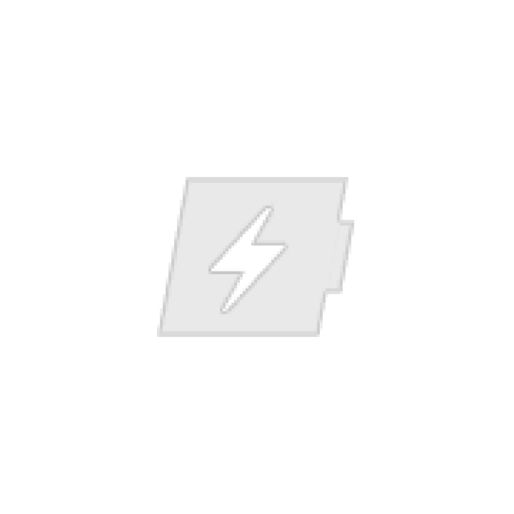 Two-Way Radio Battery Motorola CS-MTR500TX